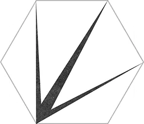 Baldosa hidráulica hexagonal trident White 25x22 codicer