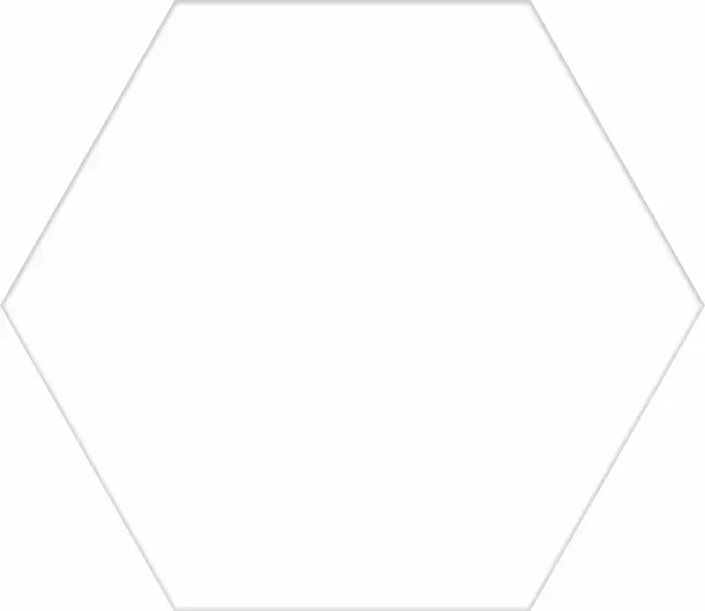 Azulejo hexagonal blanco 25x22cm